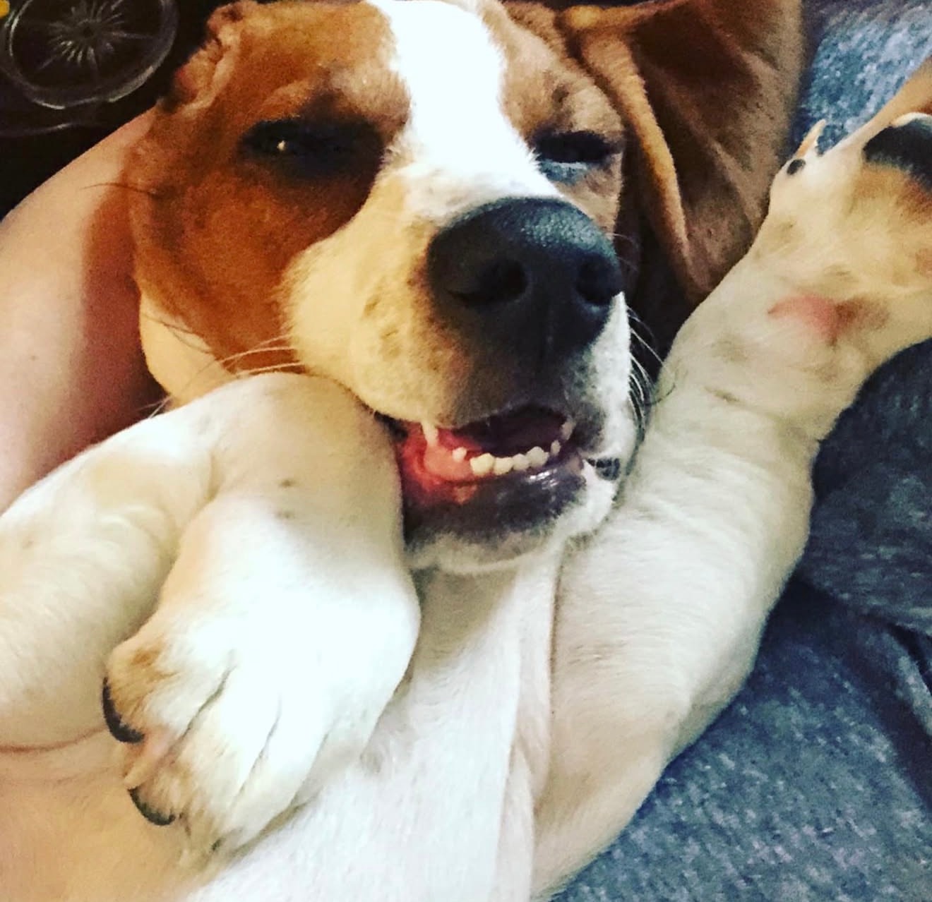 Haddie Wynn relaxed and happy
